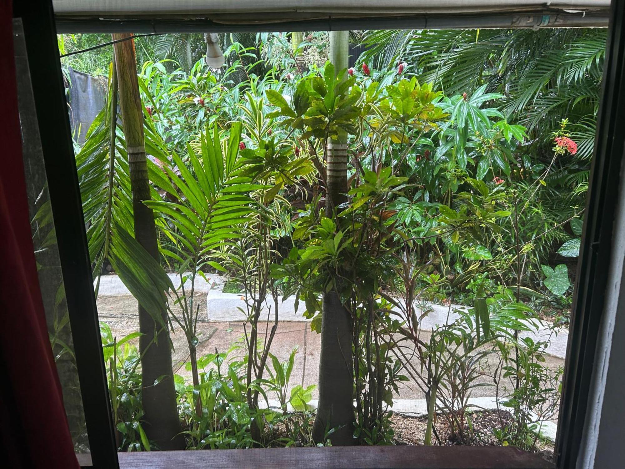 Pura Vida Hostel Tamarindo Exterior foto